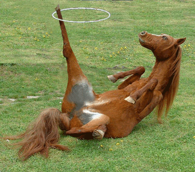 bored hula horse